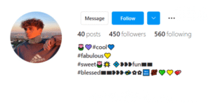 VIP Stylish bio